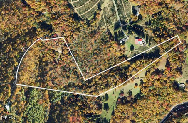 162 Murph Potter Lane, Roan Mountain, TN 37687