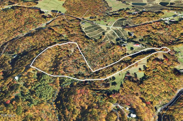 162 Murph Potter Lane, Roan Mountain, TN 37687