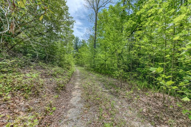 162 Murph Potter Lane, Roan Mountain, TN 37687