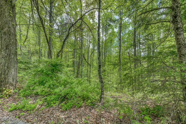 162 Murph Potter Lane, Roan Mountain, TN 37687