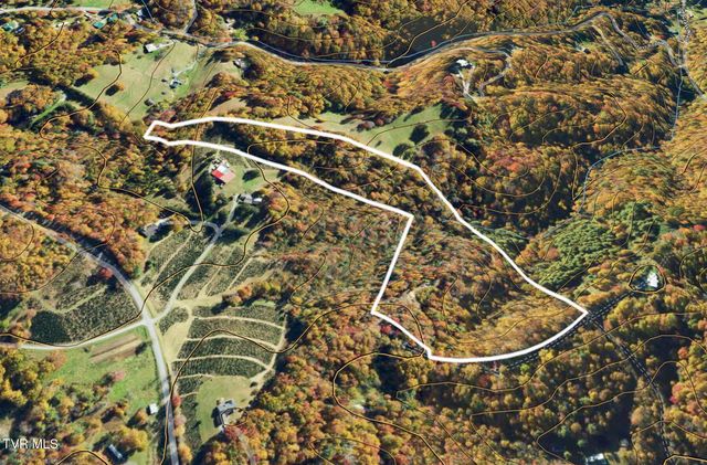 162 Murph Potter Lane, Roan Mountain, TN 37687