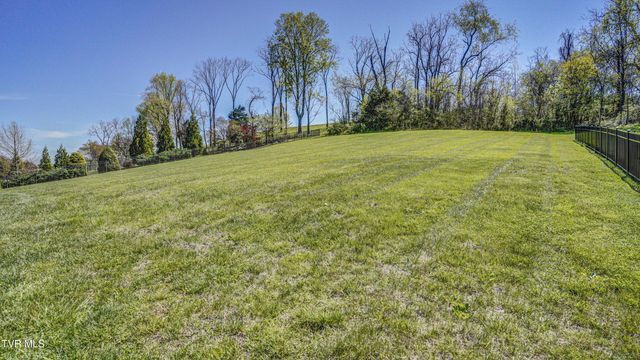 295 Sanctuary Court, Johnson City, TN 37615