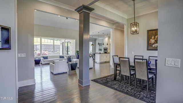 295 Sanctuary Court, Johnson City, TN 37615
