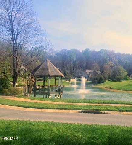 295 Sanctuary Court, Johnson City, TN 37615