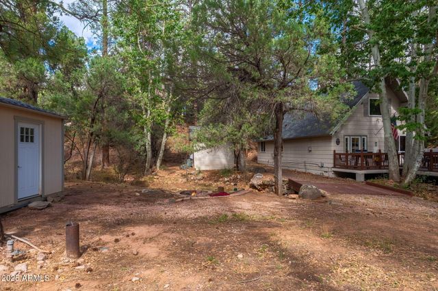 3971 N Apache Trail, Pine, AZ 85544