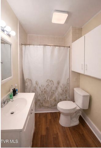 218 North Jones Street, Marion, VA 24354