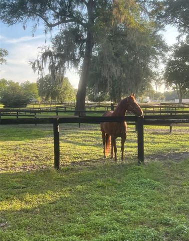 13646 N US HIGHWAY 27, Ocala, FL 34482