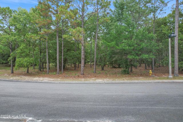 2934 Serrano Trail SE, Bolivia, NC 28422