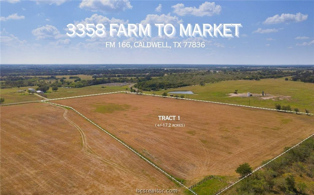 TBD FM 166 (+/-17.2 acres), Caldwell, TX 77836 — exterior