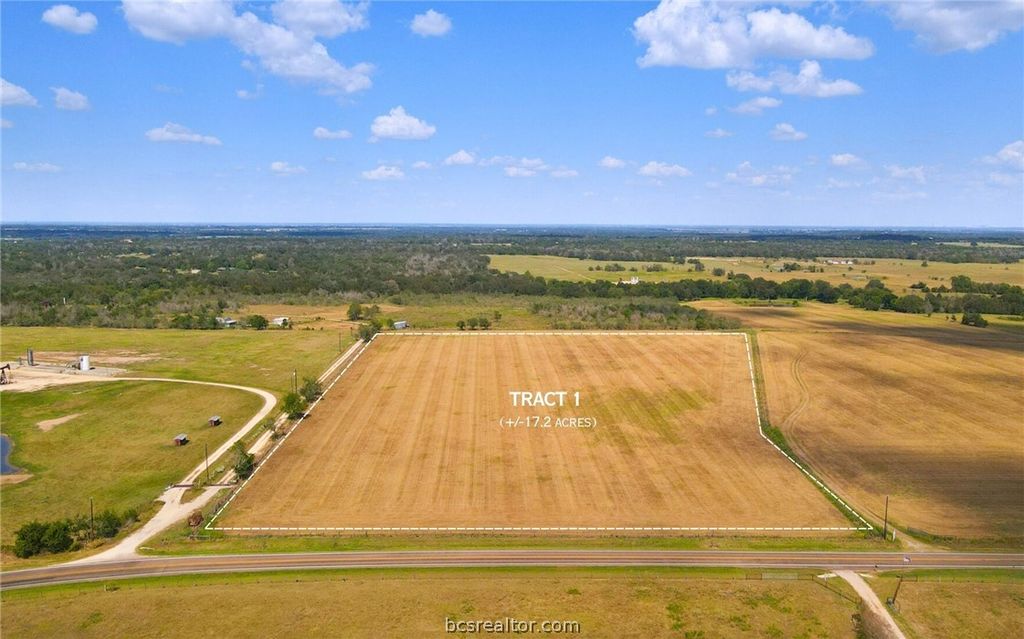TBD FM 166 (+/-17.2 acres), Caldwell, TX 77836 — photo 2