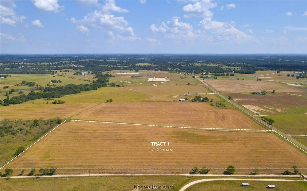 TBD FM 166 (+/-17.2 acres), Caldwell, TX 77836 — photo 4