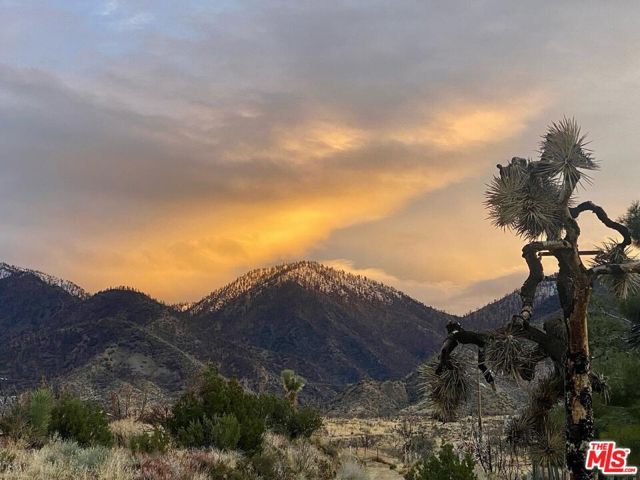 29243 Piani Road, Pearblossom, CA 93553