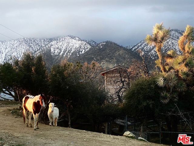 29243 Piani Road, Pearblossom, CA 93553