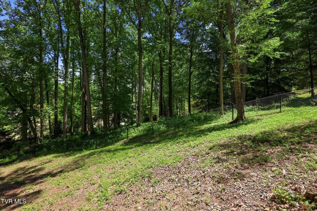 312 Mockingbird Road, Bristol, TN 37620