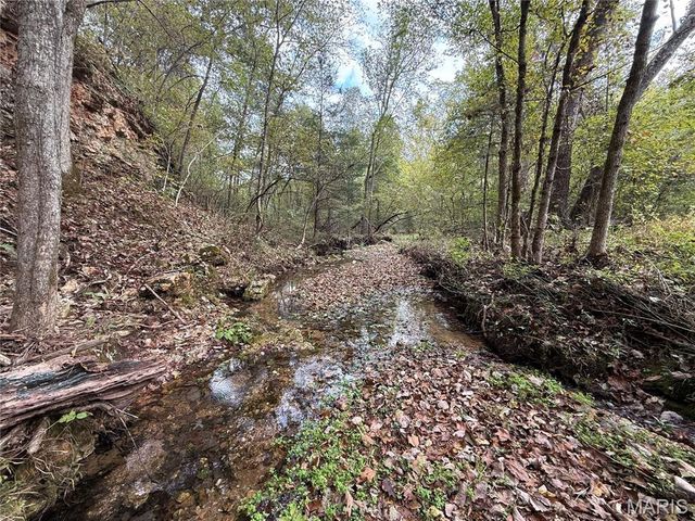 Long Spring Long Spring Road, Steelville, MO 65565