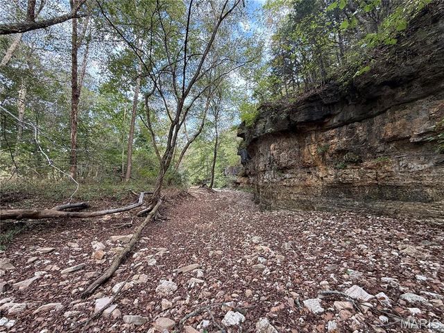 Long Spring Long Spring Road, Steelville, MO 65565