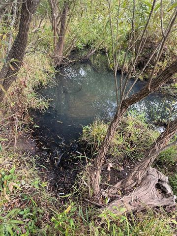 Long Spring Long Spring Road, Steelville, MO 65565