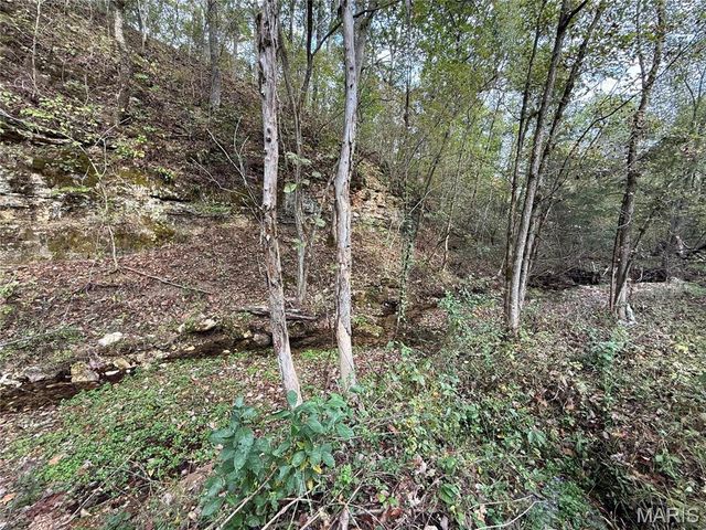 Long Spring Long Spring Road, Steelville, MO 65565