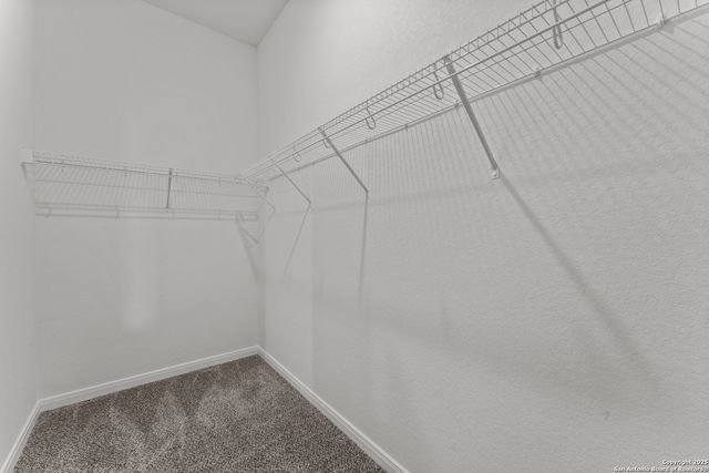 1521 Golden Wheat, New Braunfels, TX 78130
