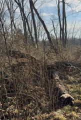 0 Charles Street, Cecil, PA 15321