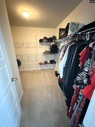 240 Bickley View Court, Chapin, SC 29036