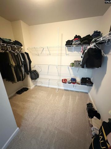 240 Bickley View Court, Chapin, SC 29036