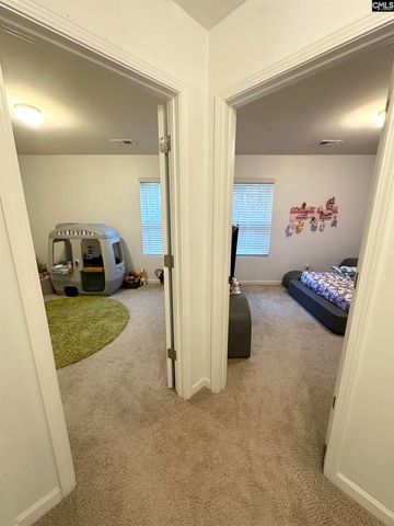 240 Bickley View Court, Chapin, SC 29036