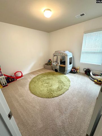 240 Bickley View Court, Chapin, SC 29036