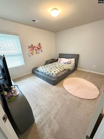 240 Bickley View Court, Chapin, SC 29036