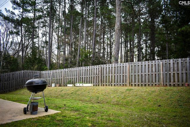 240 Bickley View Court, Chapin, SC 29036