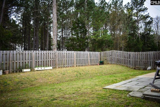 240 Bickley View Court, Chapin, SC 29036