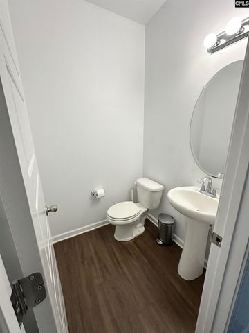 240 Bickley View Court, Chapin, SC 29036