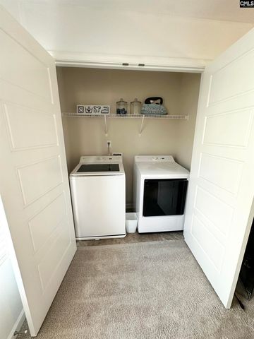 240 Bickley View Court, Chapin, SC 29036