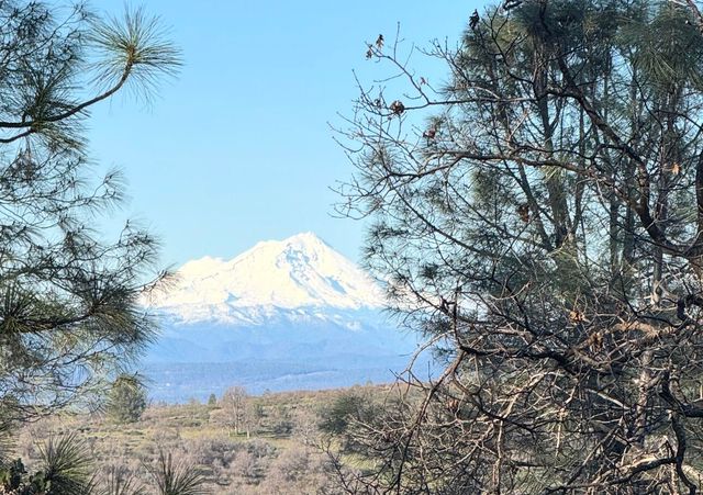 7651 Midway Pines Drive, Shingletown, CA 96088