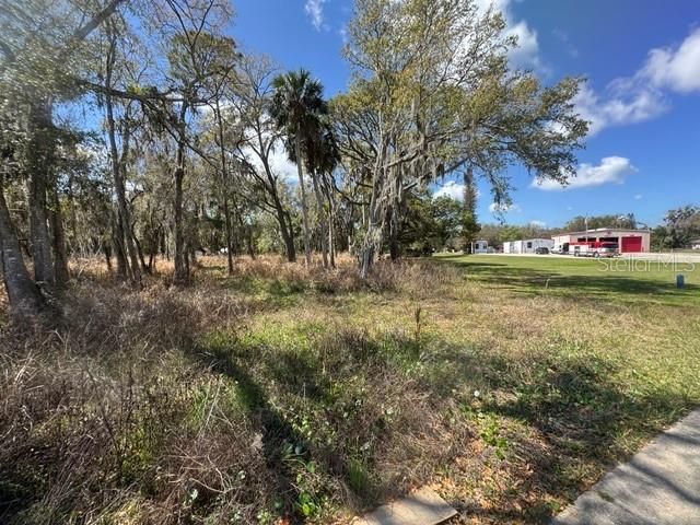 WALLACE ROAD, New Smyrna Beach, FL 32168