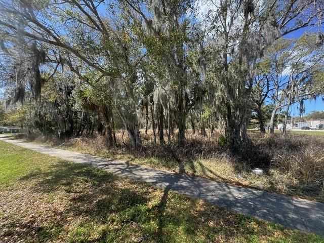 WALLACE ROAD, New Smyrna Beach, FL 32168