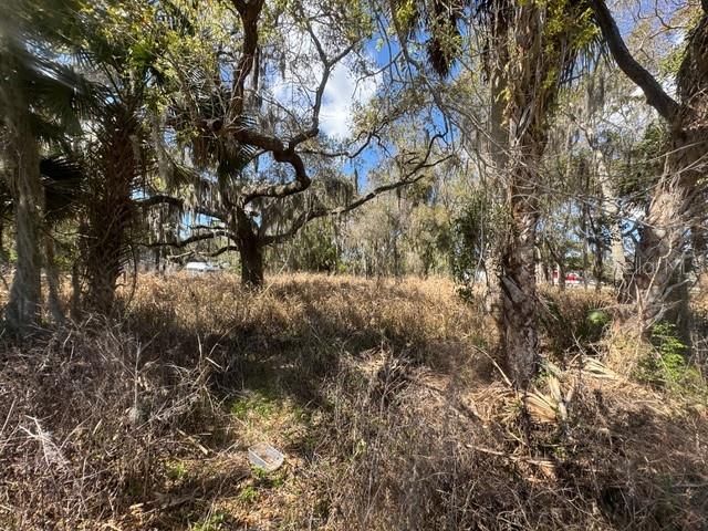 WALLACE ROAD, New Smyrna Beach, FL 32168