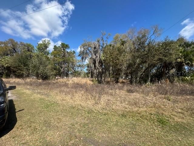 WALLACE ROAD, New Smyrna Beach, FL 32168