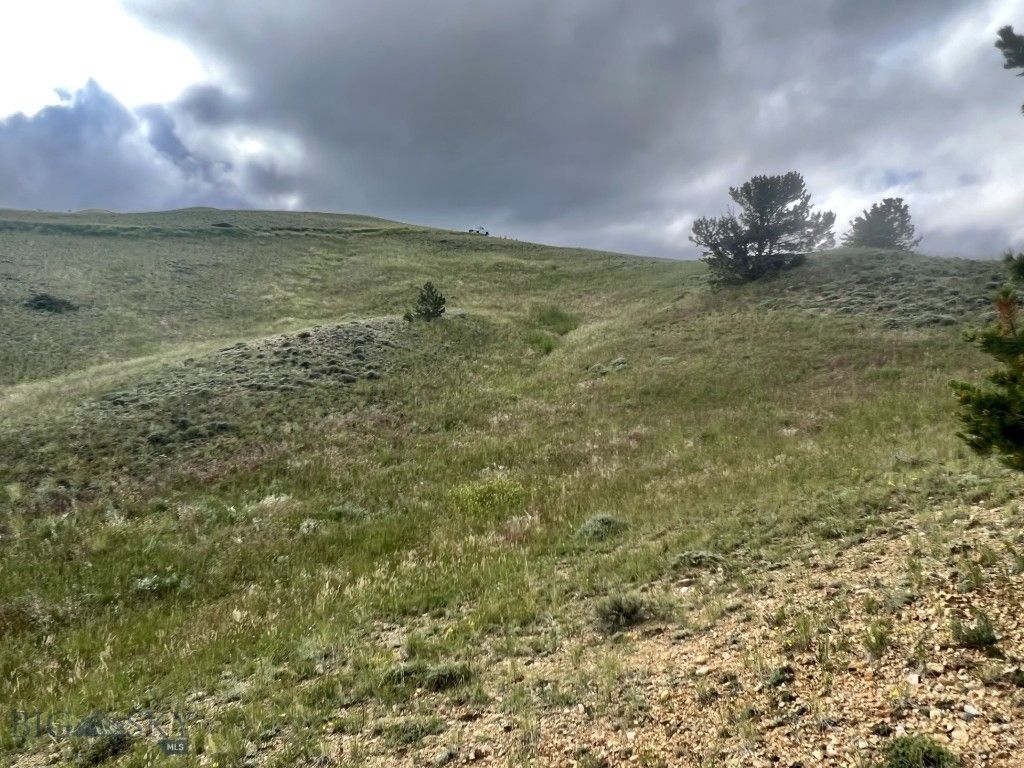 132 Freedom, Belfry, MT 59008 photo 3