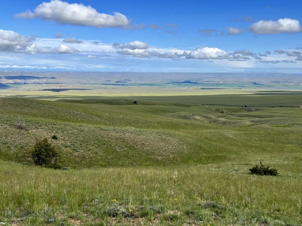 132 Freedom, Belfry, MT 59008 photo 4