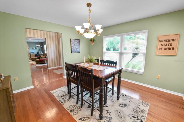 3557 TIGEREYE COURT, Mulberry, FL 33860