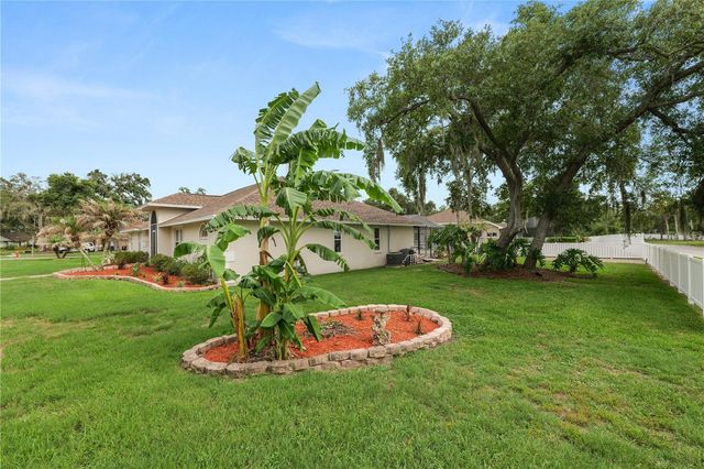 3557 TIGEREYE COURT, Mulberry, FL 33860