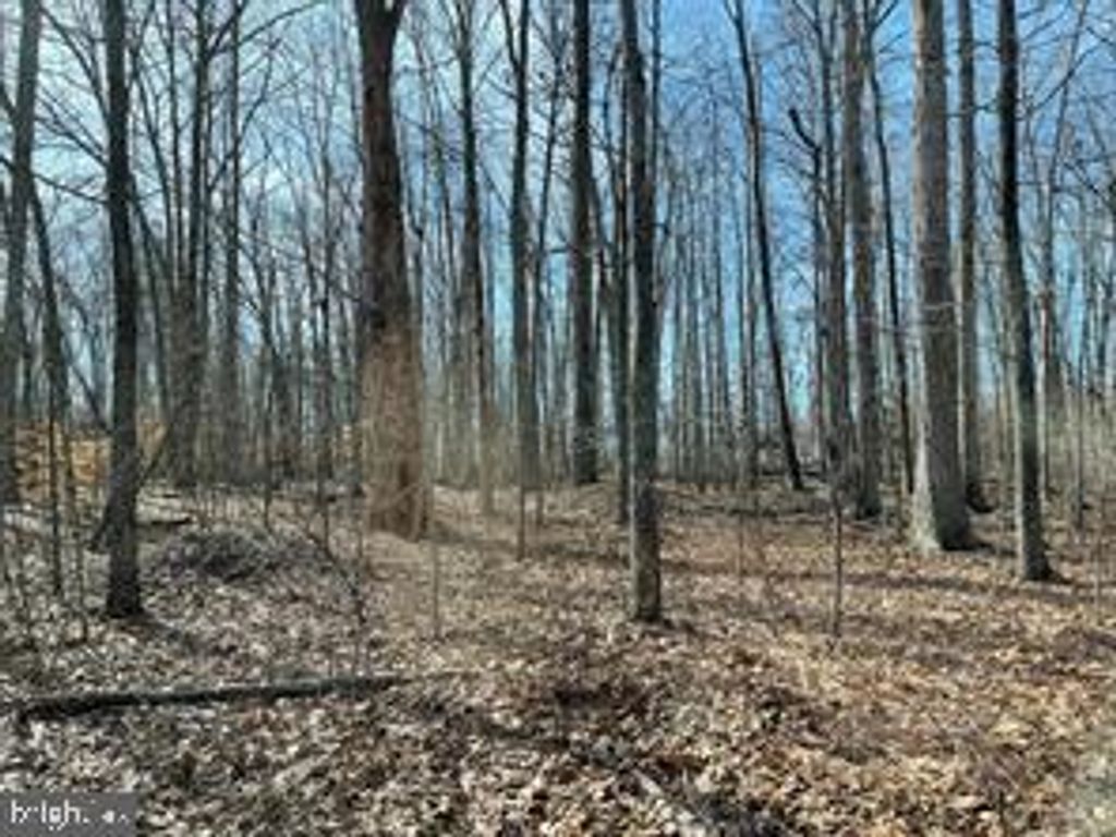 7120 DOMINIQUE DR, Spotsylvania, VA 22551