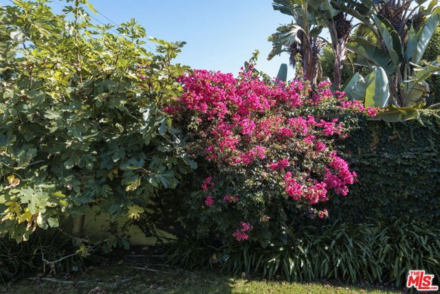 3842 Alsace Avenue, Los Angeles, CA 90008