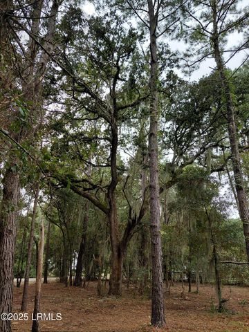 21 Fort Fremont Court, St. Helena Island, SC 29920