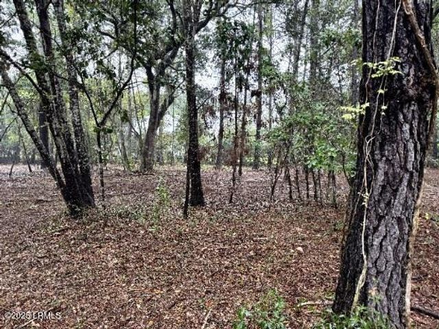 21 Fort Fremont Court, St. Helena Island, SC 29920