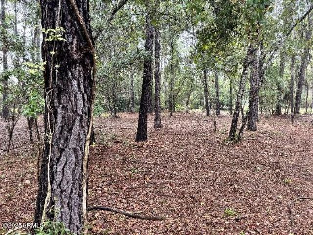 21 Fort Fremont Court, St. Helena Island, SC 29920