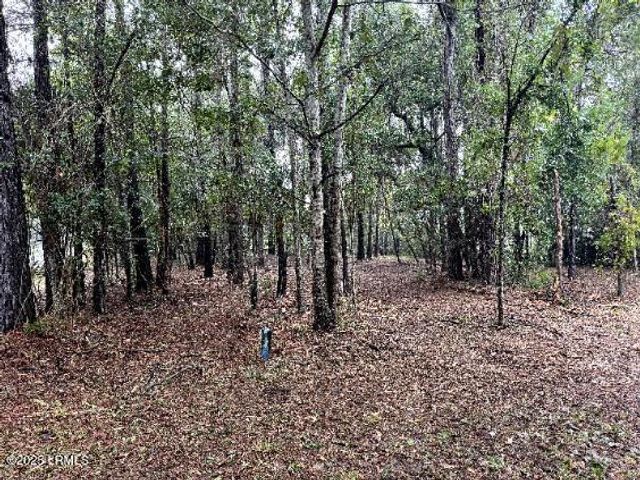 21 Fort Fremont Court, St. Helena Island, SC 29920