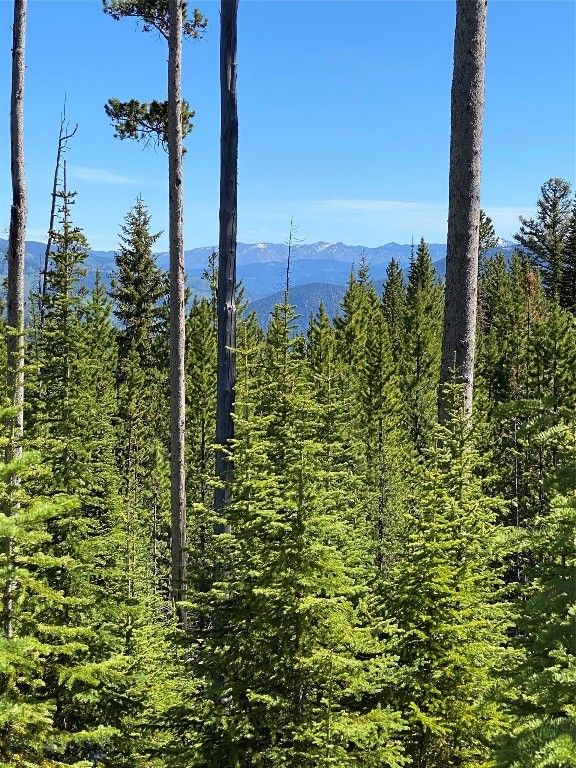 TBD Bear Den Court Road, Big Sky, MT 59716 photo 10