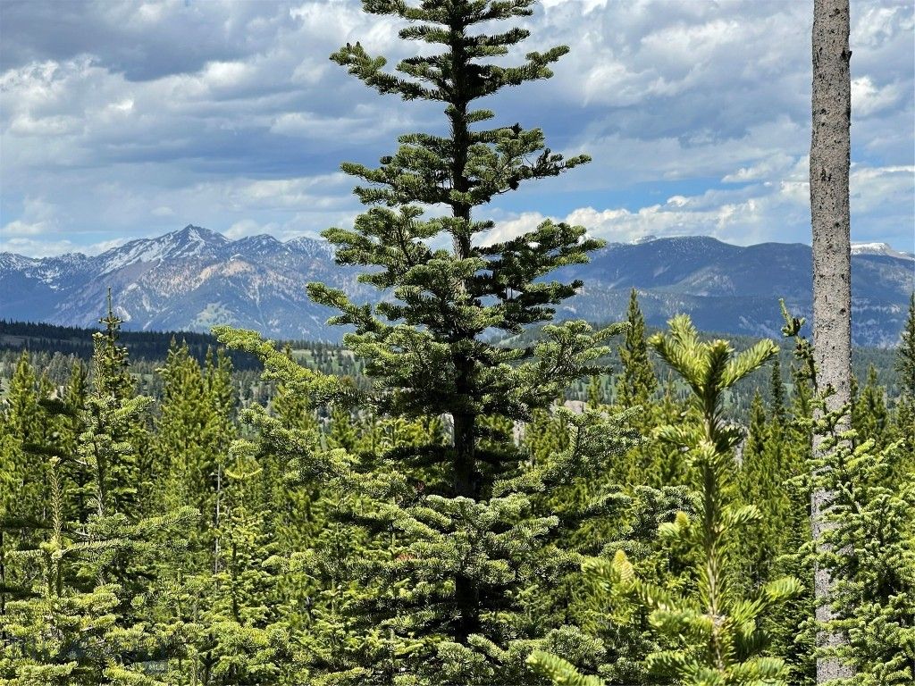 TBD Bear Den Court Road, Big Sky, MT 59716 photo 4